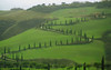 "Cypress Road, La Foce"